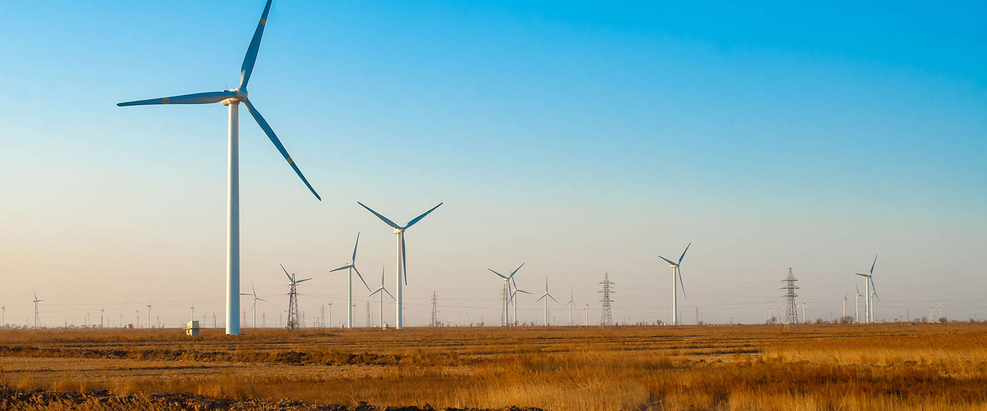 关注经济社会价值，践行责任投资理念，致力于投资一个公司，解决一个问题